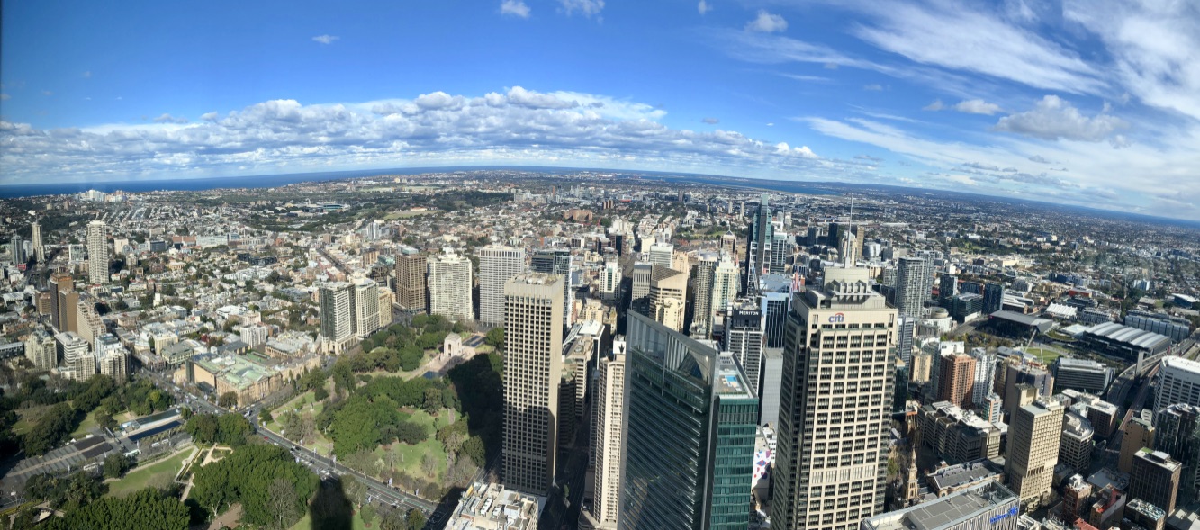Pano view from Sydney Tower Eye.jpg